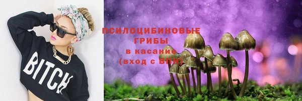 a pvp Алексеевка