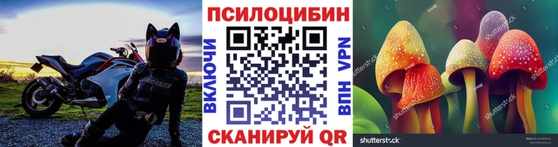 Галлюциногенные грибы GOLDEN TEACHER  где найти   Петровск-Забайкальский 